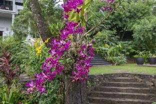 hibiscus villa and cottages
