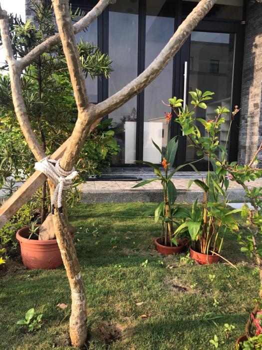 good nest homestay