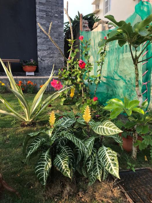 good nest homestay