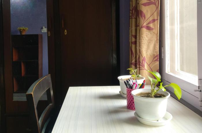 sun apartment and guest house