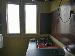 sun apartment and guest house