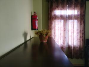 sun apartment and guest house