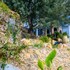 chefchaouen