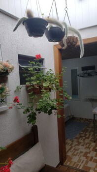 suites para fins de semana