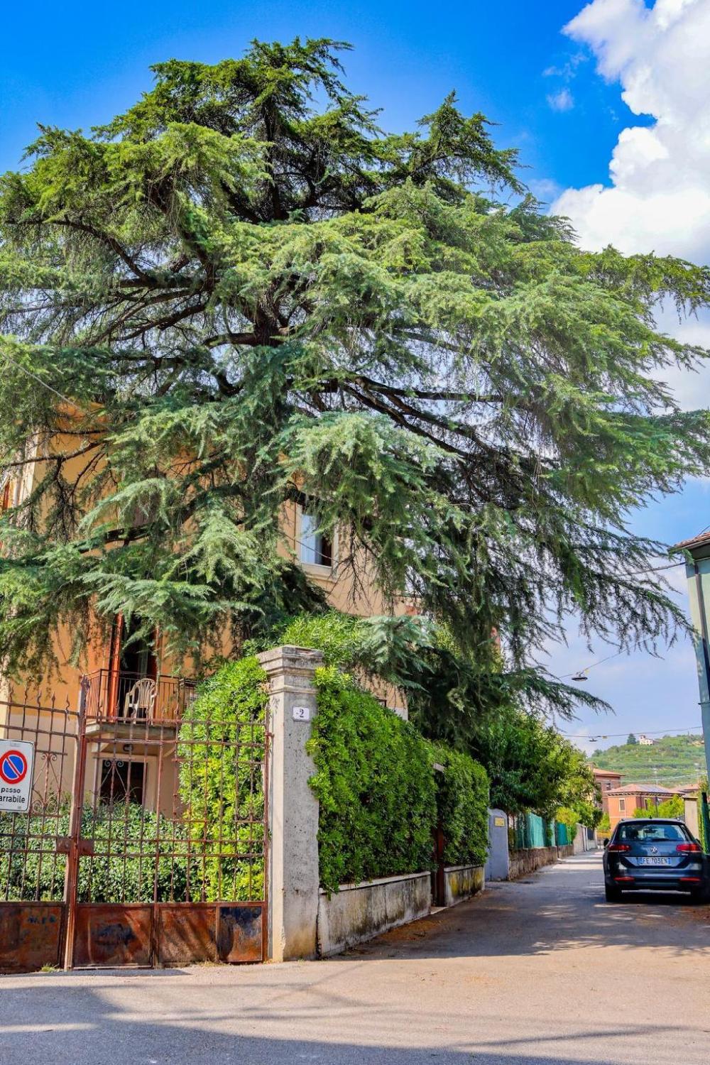 destiny home verona guest house