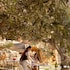 ostuni
