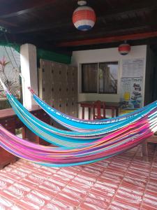 downtown montezuma hostel