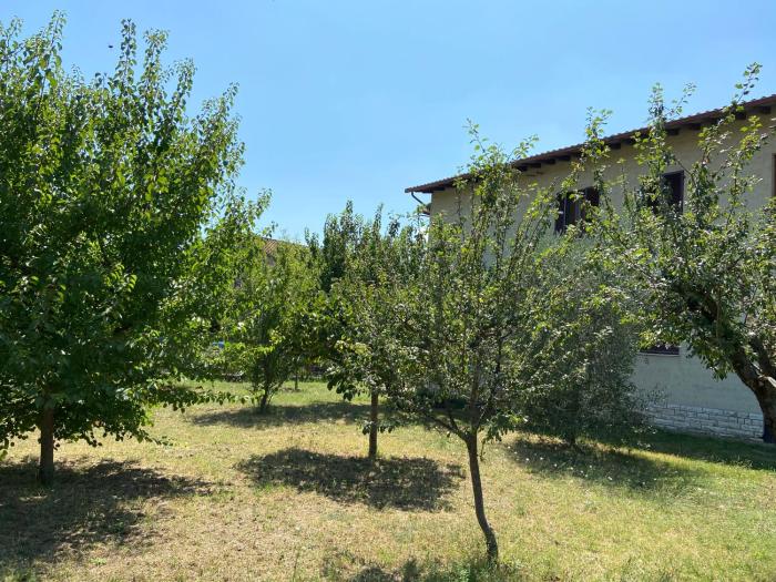 castiglione del lago