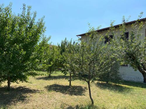 castiglione del lago