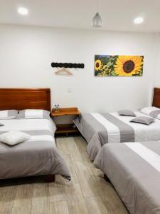 40 amigos hotel
