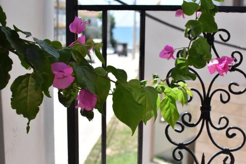 ephelia gold