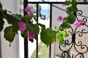 ephelia gold