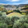 gaiole in chianti