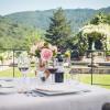 gaiole in chianti
