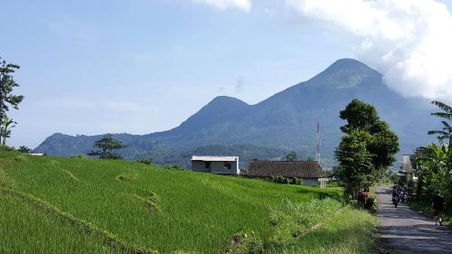 avila ketapan rame hotel