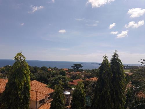 discovery courts hotel