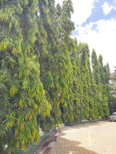 discovery courts hotel