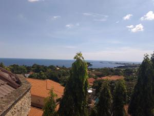 discovery courts hotel