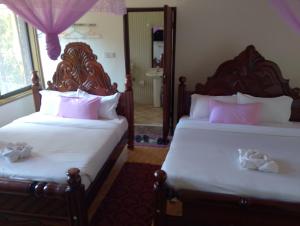 discovery courts hotel