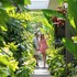 la mira villa seminyak by ini vie hospitality