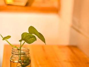 cianjur paddies hostel