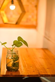 cianjur paddies hostel