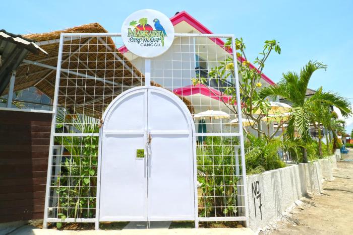 margarita surf hostel