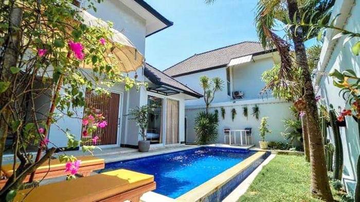 margarita surf hostel