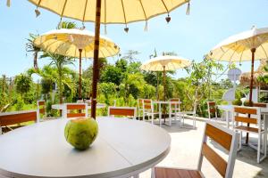 margarita surf hostel