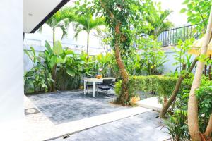 margarita surf hostel