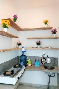 margarita surf hostel