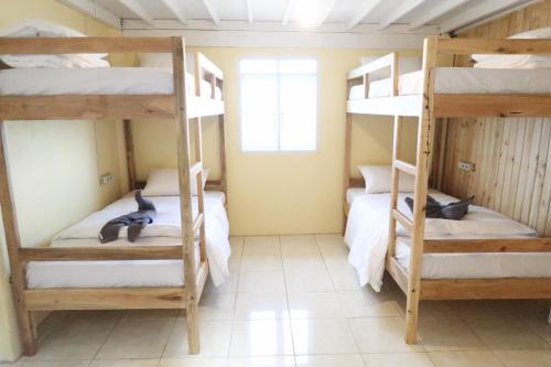 phinisi hostel bira