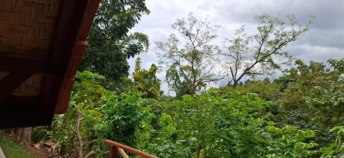 uma nirmala aling aling