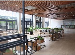 beehive boutique hotel