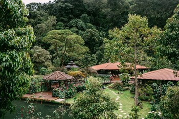 trogon lodge