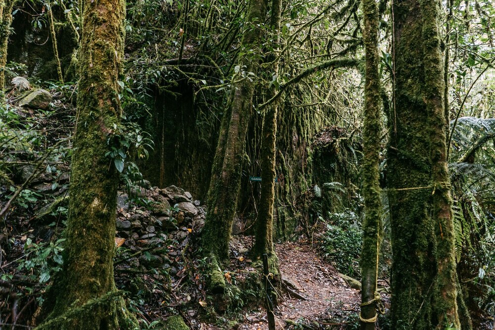 trogon lodge