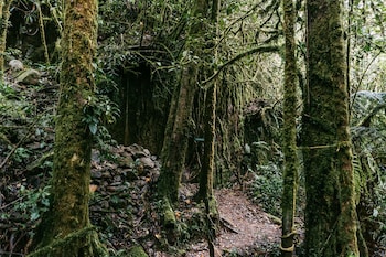 trogon lodge