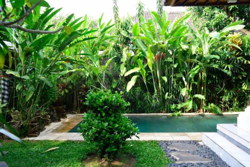 Book Villa Sonia Ubud Bali Hotel in Bali Starting From ₹ 5401