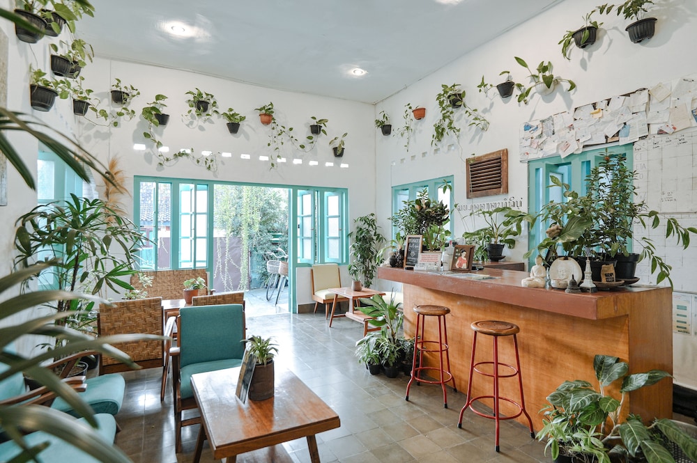 snooze guesthouse yogyakarta hostel