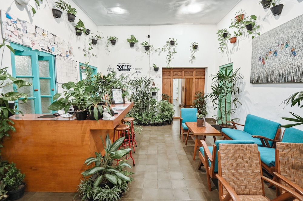 snooze guesthouse yogyakarta hostel