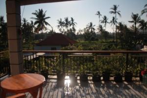 Blue Royal Amed,Amed>>Abang,2.5 star