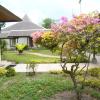 palangkaraya