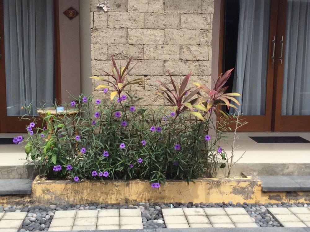 ayu love and harmony guest house