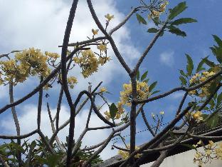 ayu love and harmony guest house