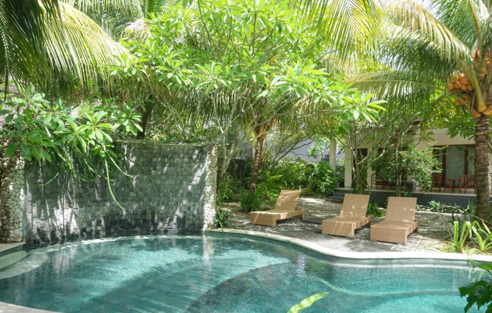 tarzan marriott on penida