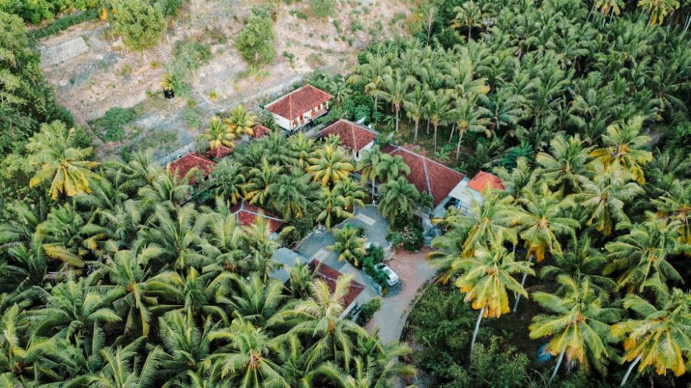 tarzan marriott on penida
