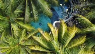 tarzan marriott on penida