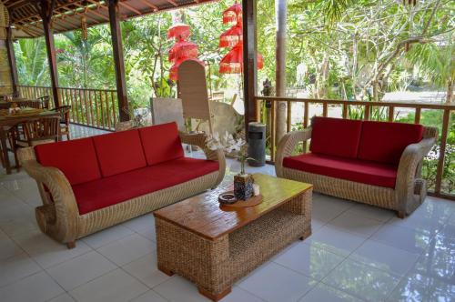 tarzan marriott on penida