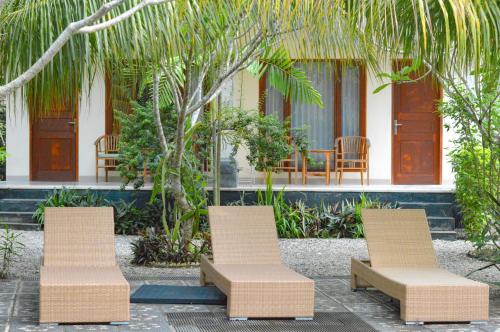 tarzan marriott on penida
