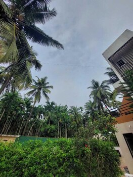 royal paradise hotel